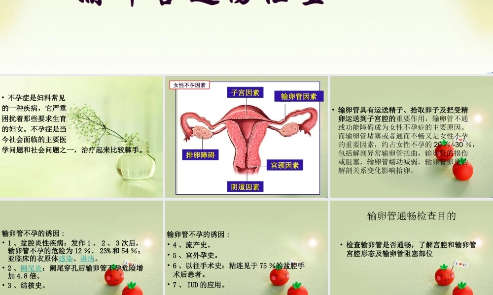 输卵管通液术2015.3.31.ppt