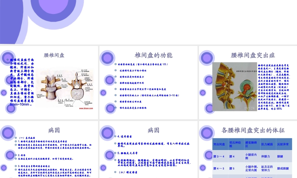 腰椎间盘突出症的原因与手术入口(1).ppt
