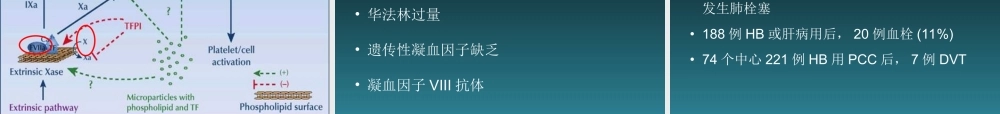 输血与血栓.ppt
