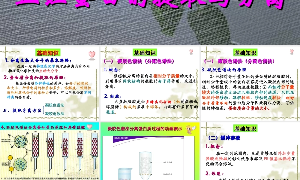 血红蛋白的提取和分离(优质课).ppt