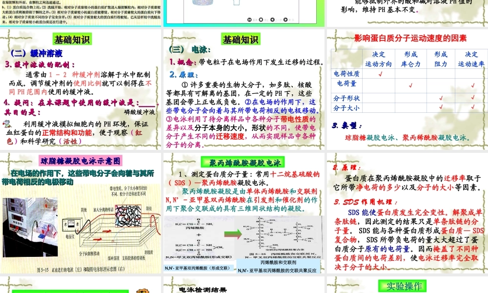血红蛋白的提取和分离(优质课).ppt