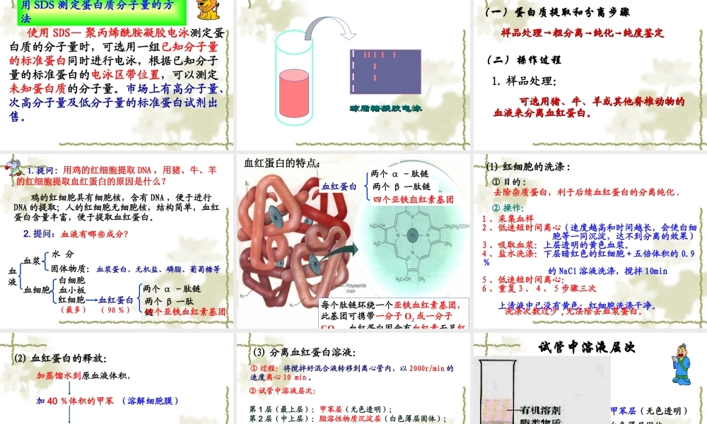 血红蛋白的提取和分离(优质课).ppt