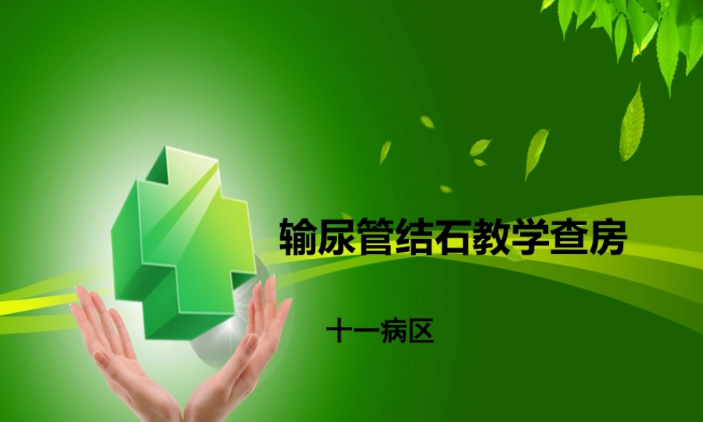 输尿管钬激光碎石术教学查房.pptx