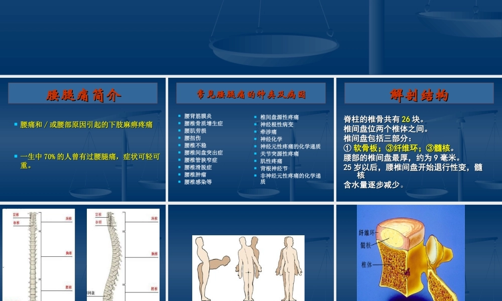 腰腿痛(健康讲座)精讲.ppt