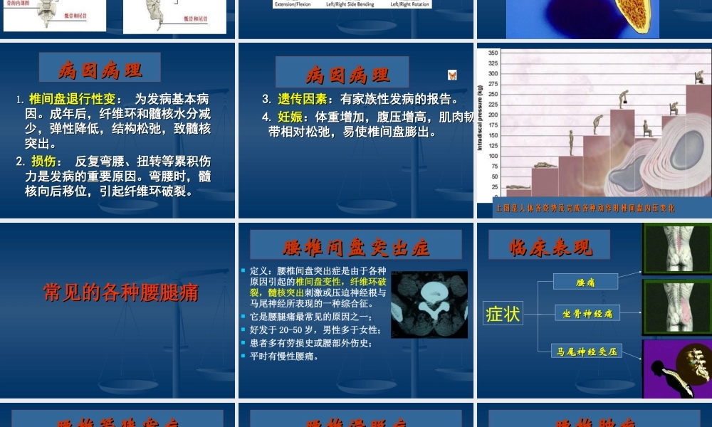 腰腿痛(健康讲座)精讲.ppt