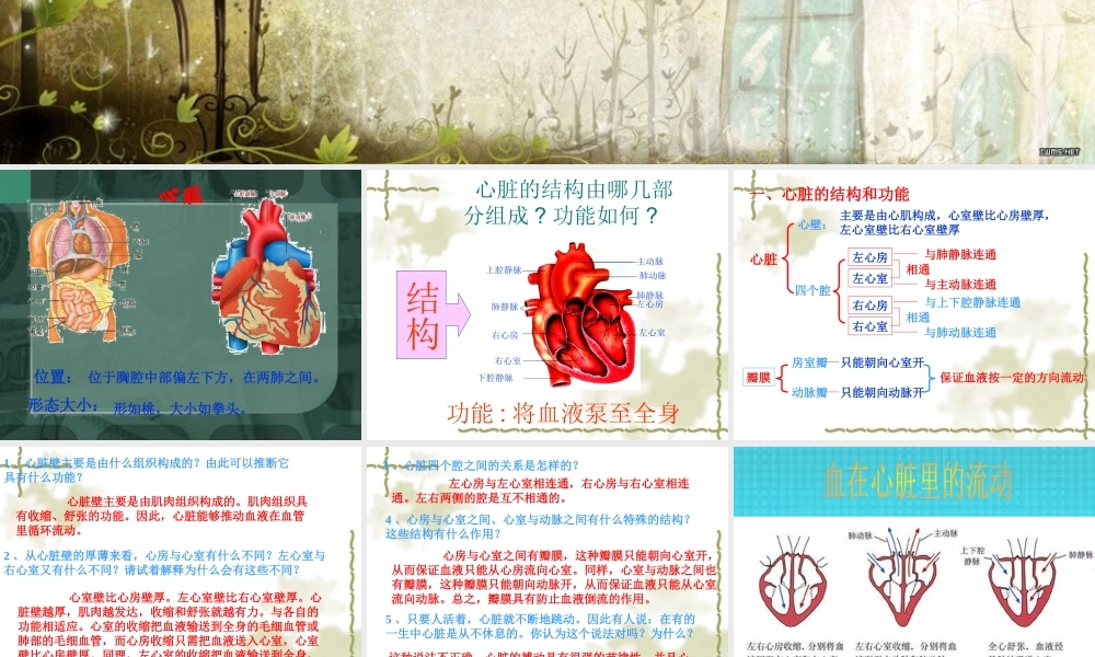 输送血液泵----心脏(1).ppt