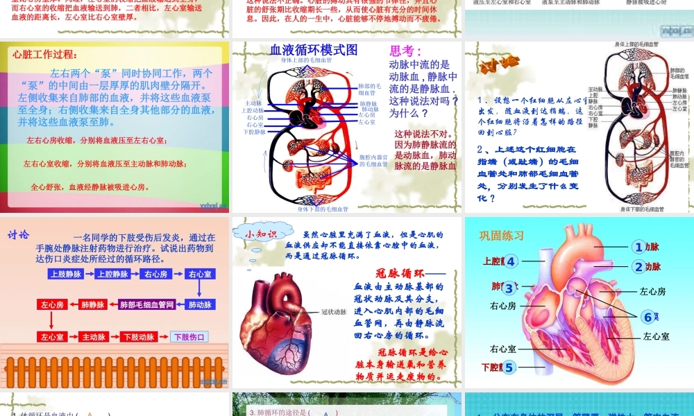 输送血液泵----心脏(1).ppt