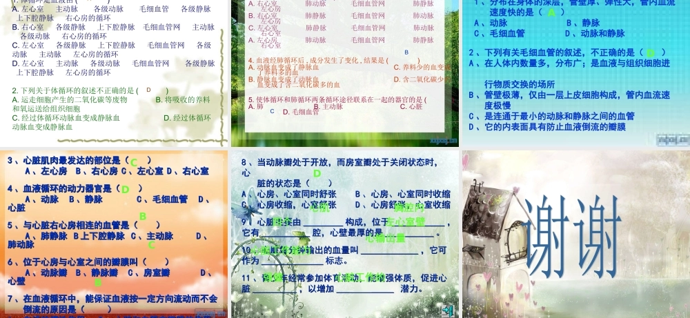 输送血液泵----心脏(1).ppt