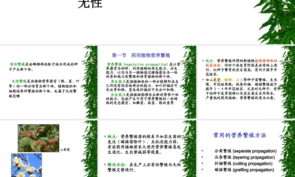 药用植物栽培学4-1--改.ppt