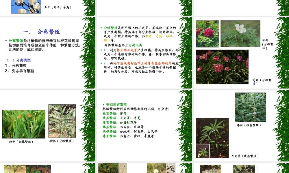 药用植物栽培学4-1--改.ppt