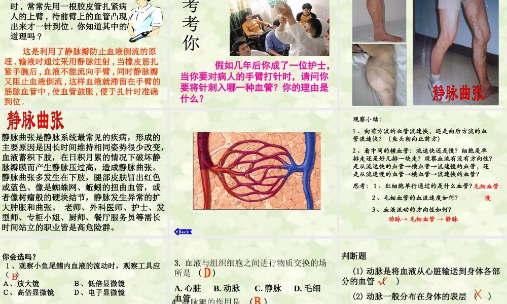 血流的管道-血管ppt.ppt