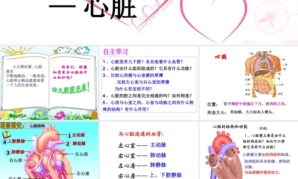 输送血液的泵——心脏1.ppt