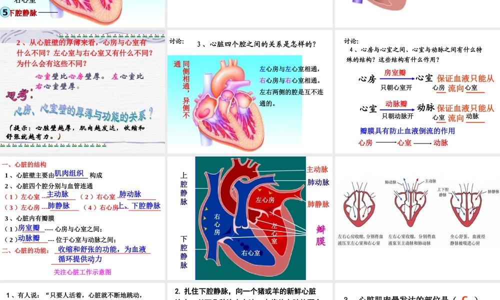 输送血液的泵——心脏1.ppt
