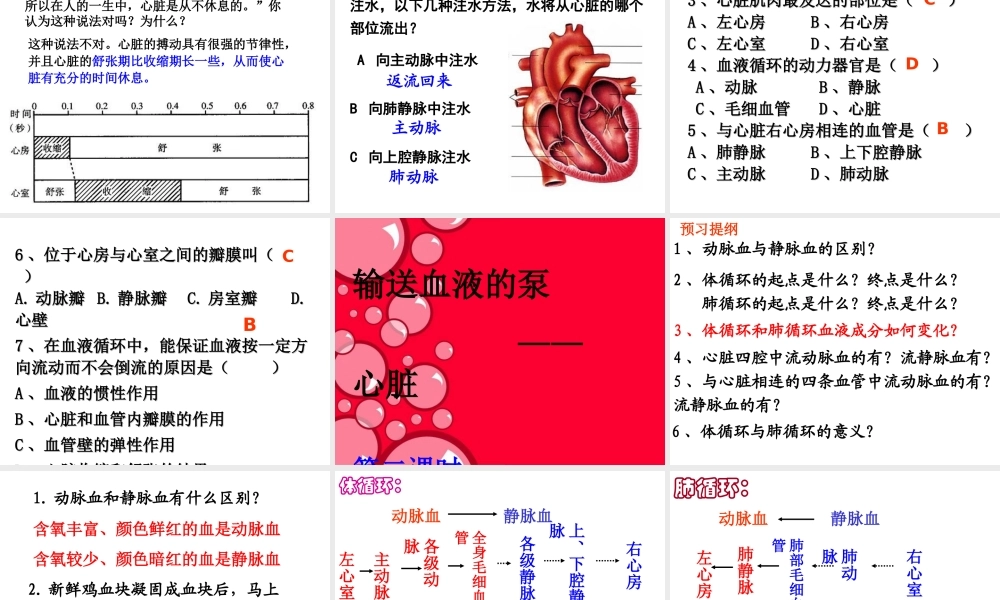 输送血液的泵——心脏1.ppt