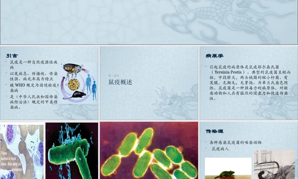 鼠疫及其防制.ppt