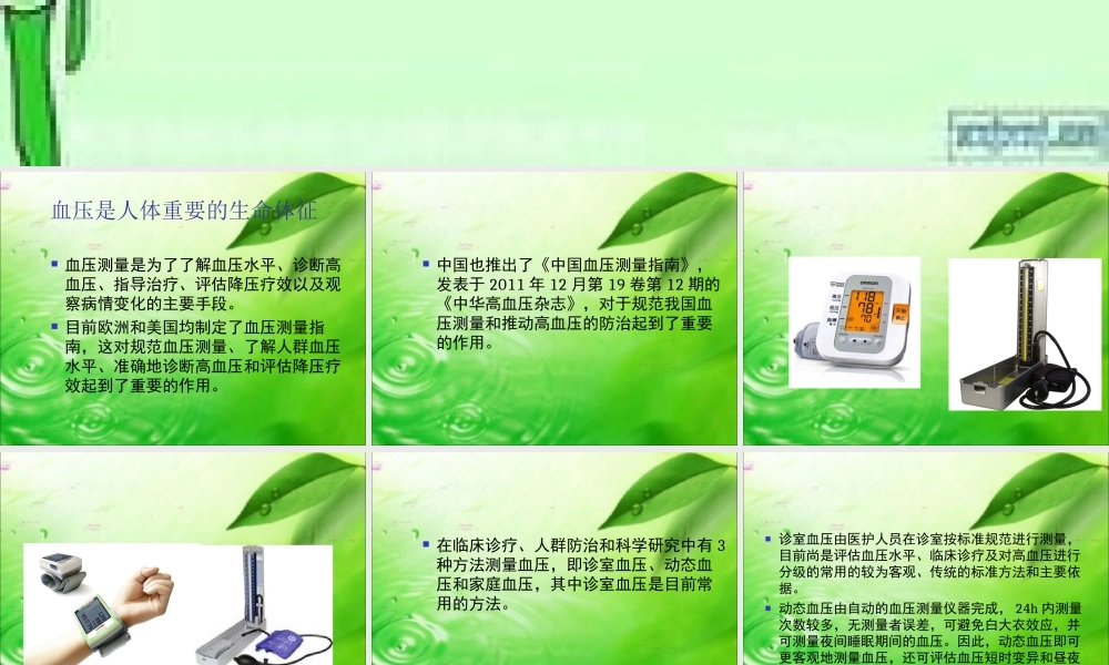 血压的规范化测量.ppt