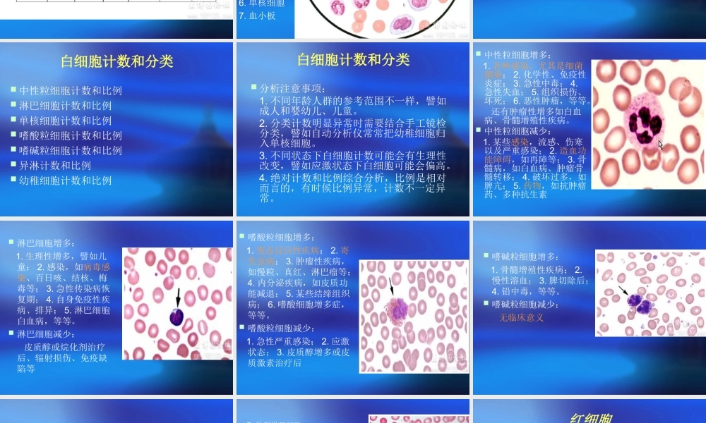 血常规分析分解.ppt