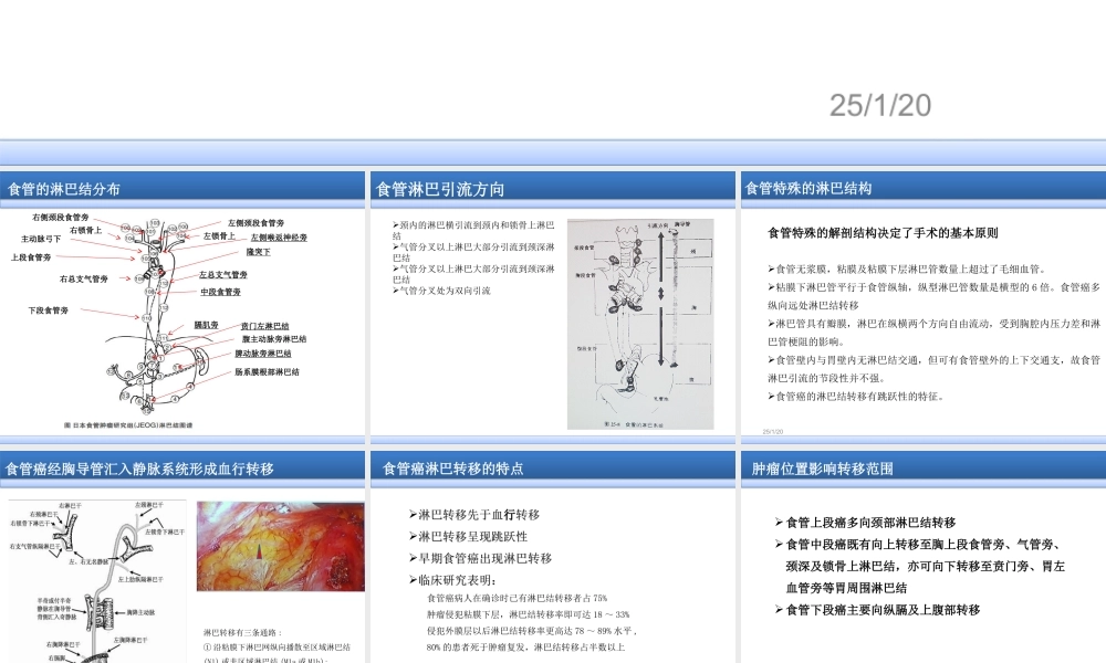 食管癌淋巴结三野清扫.ppt