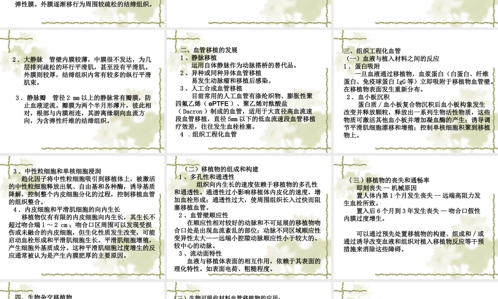 血管、神经组织工程.ppt