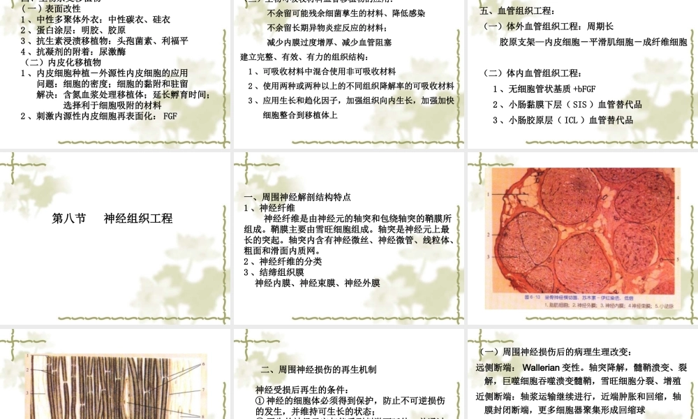 血管、神经组织工程.ppt