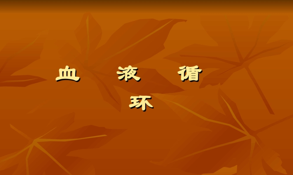 血液循环的动力-心脏.ppt