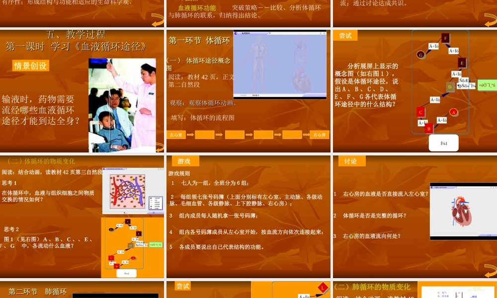 血液循环的动力-心脏.ppt