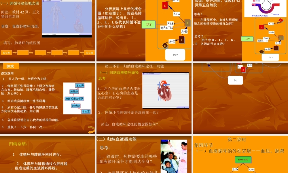 血液循环的动力-心脏.ppt