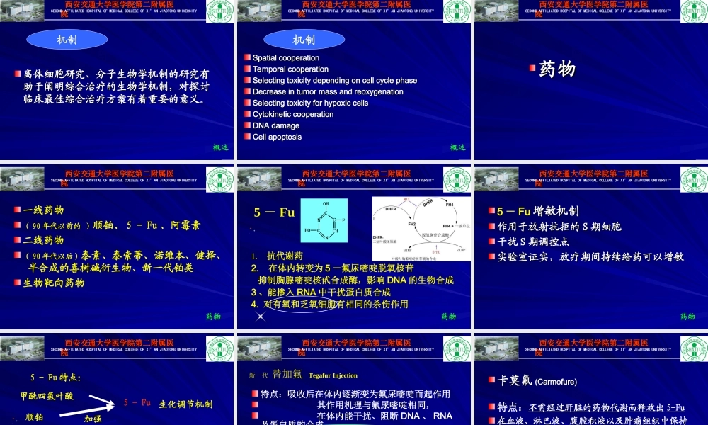 食管癌同步放化疗.ppt