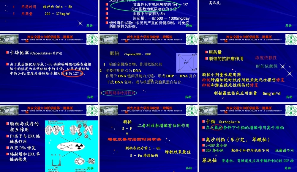 食管癌同步放化疗.ppt