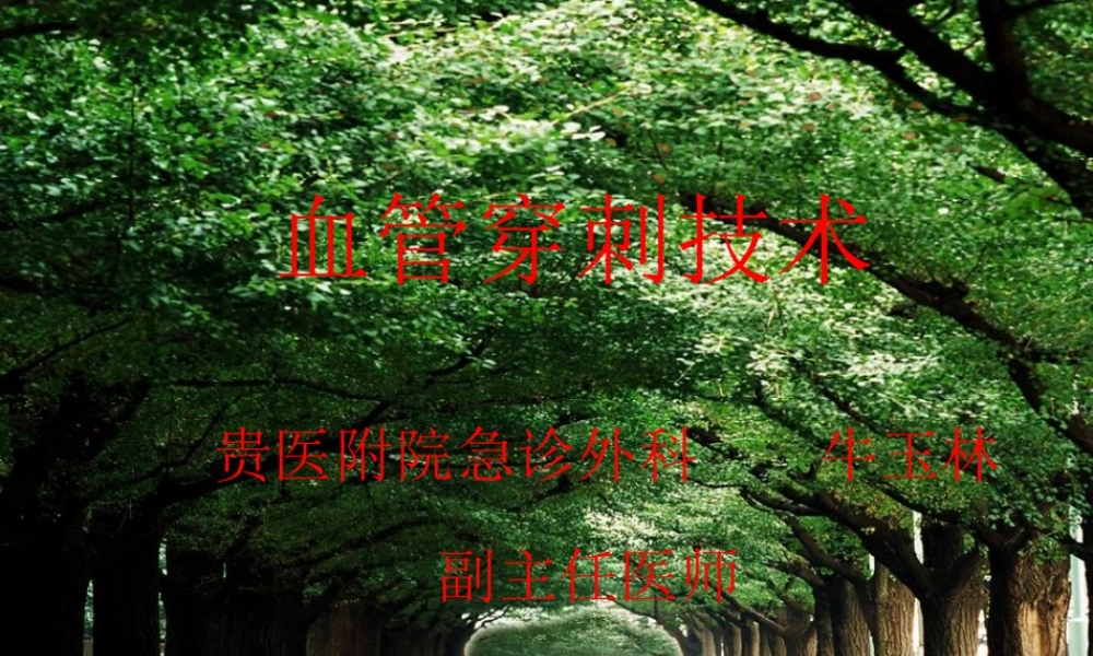 血管穿刺技术.ppt