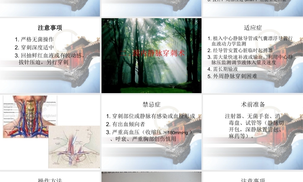 血管穿刺技术.ppt