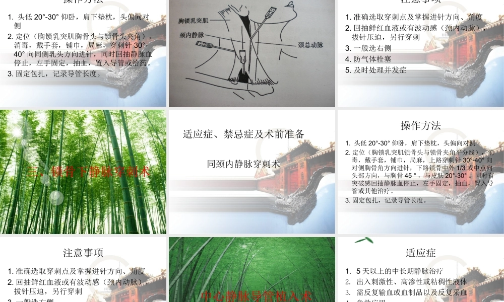 血管穿刺技术.ppt