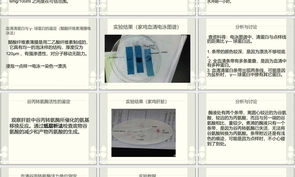 血清成分分析.ppt