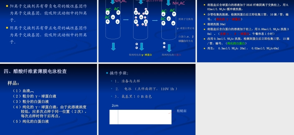 血清白球蛋白的离纯化及鉴定[整理后].ppt