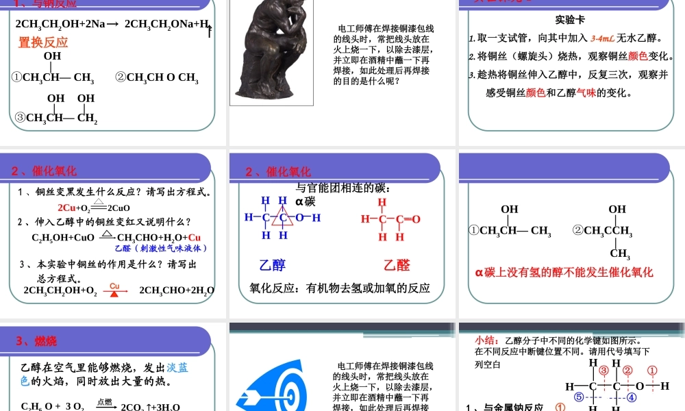 食品中的有机物(讲解练习)..ppt