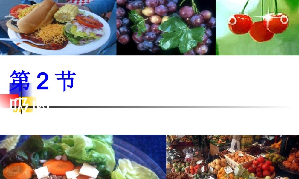 食物的消化与吸收.ppt