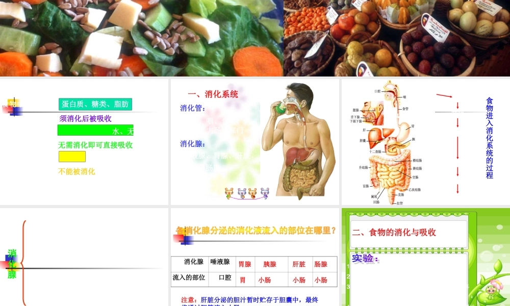 食物的消化与吸收.ppt