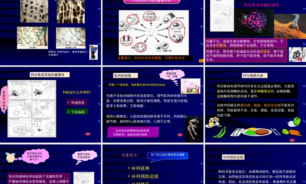 食品营养学第八章矿物质.ppt