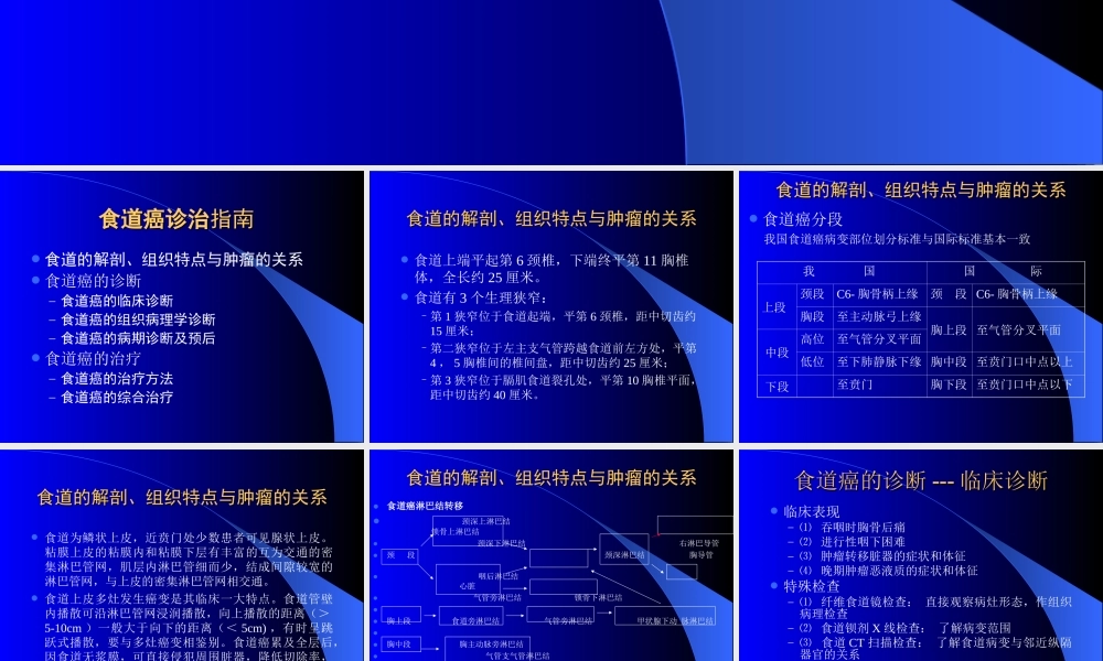 食道癌诊治指南.ppt