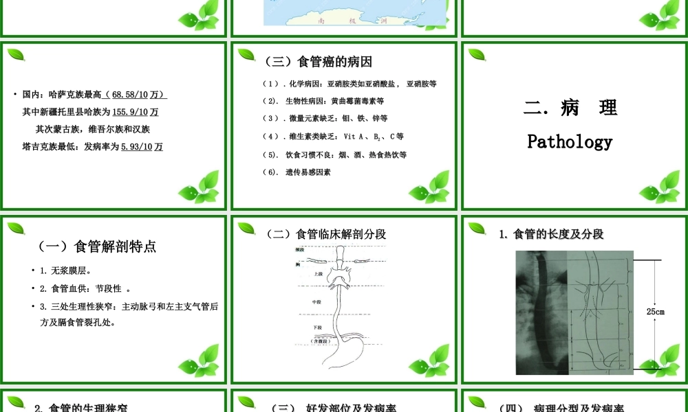 食管癌新资料.ppt