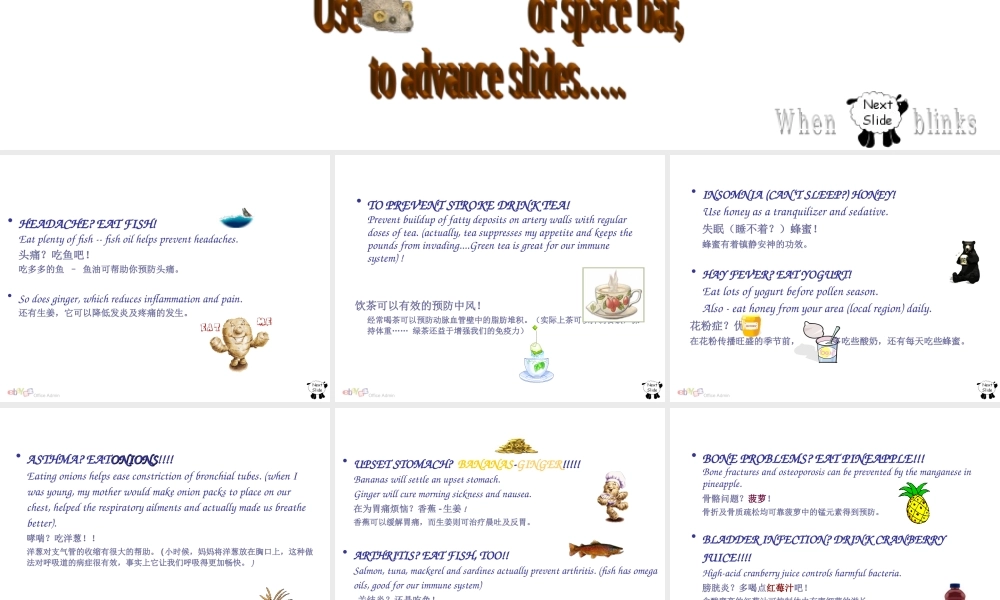 药补不如食补幻灯片.ppt