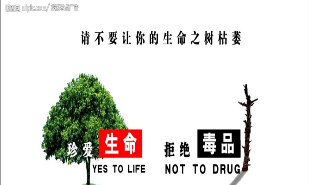 要做的禁毒作品.介绍.ppt