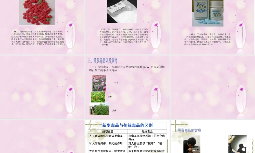 要做的禁毒作品.介绍.ppt