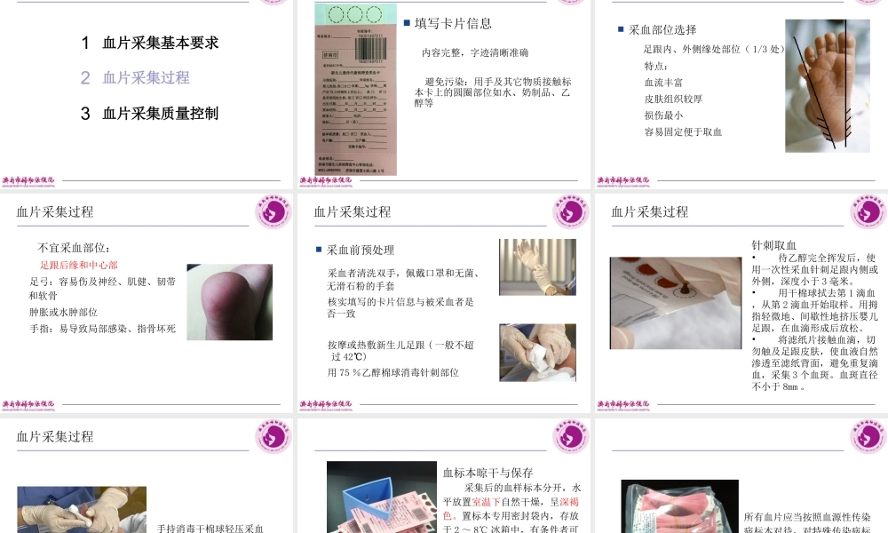 血片采集技术规范及质量控制.ppt