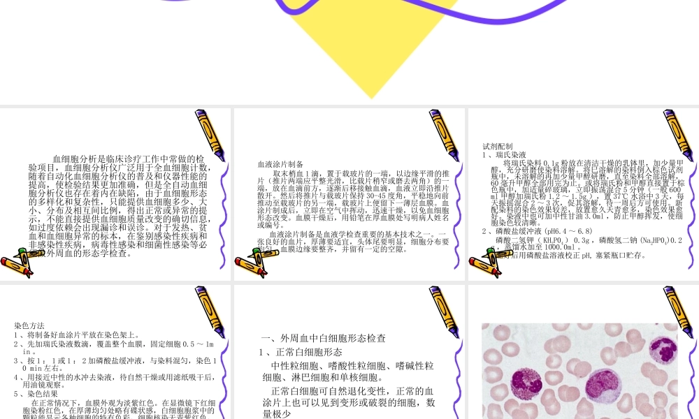 血细胞形态2014.ppt