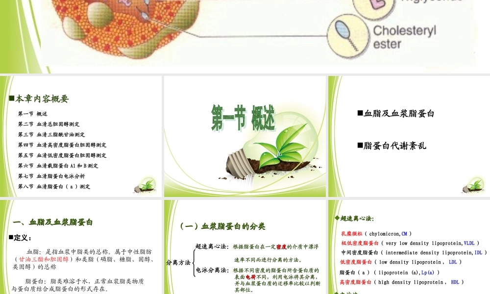 血脂及血浆脂蛋白检验.ppt