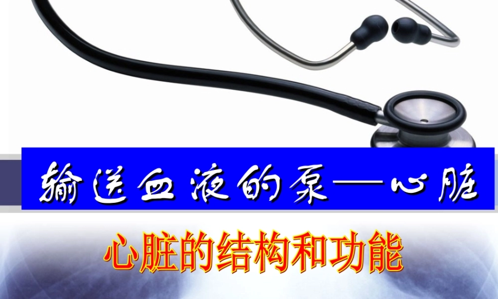 输送血液泵——心脏完整版.ppt