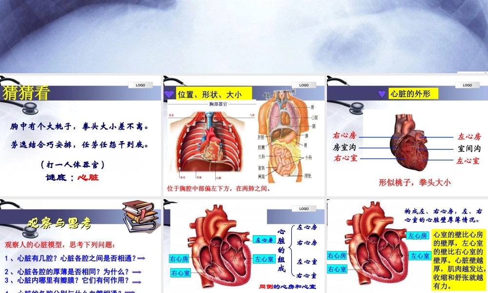 输送血液泵——心脏完整版.ppt