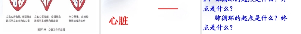 输送血液泵——心脏完整版.ppt