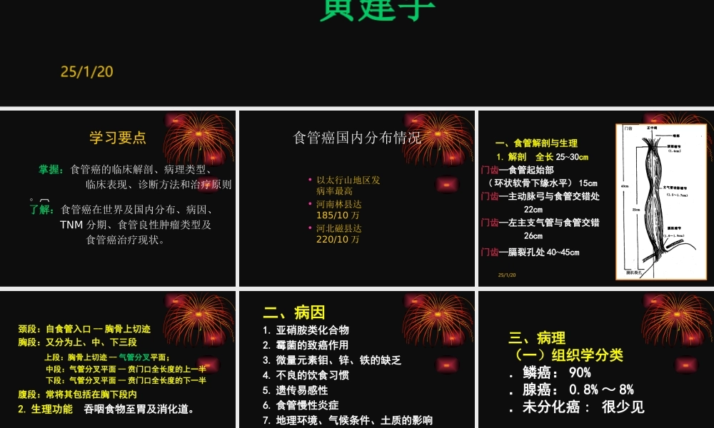 食管癌黄建宇.ppt